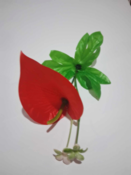 Preview: Raffaelo Herz zum Muttertag&Valentinstag